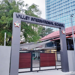 Valley International School